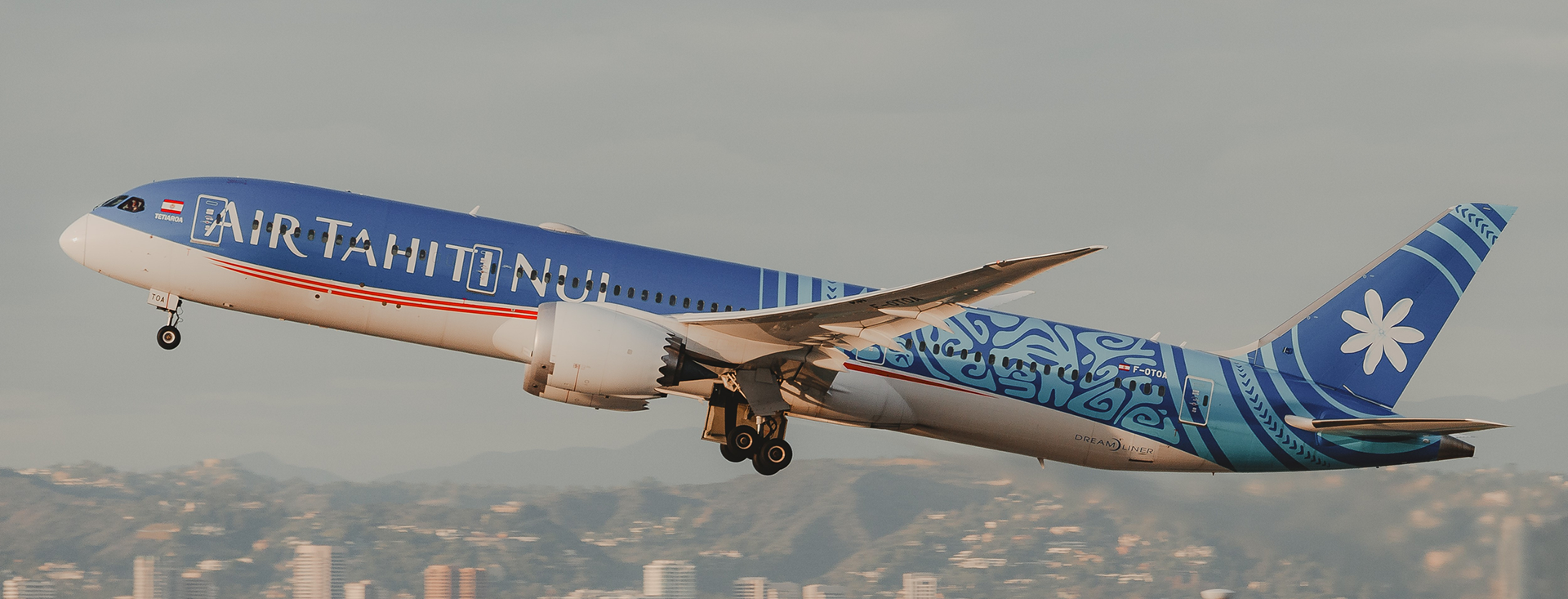 Flight Banner